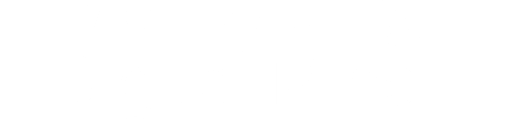 MARKETING DIGITAL MIND